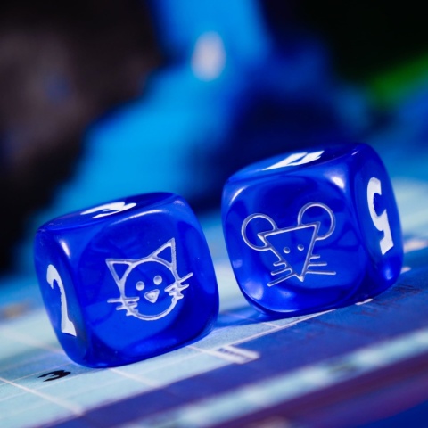 Dom kotów. Wykreślanka z pazurem