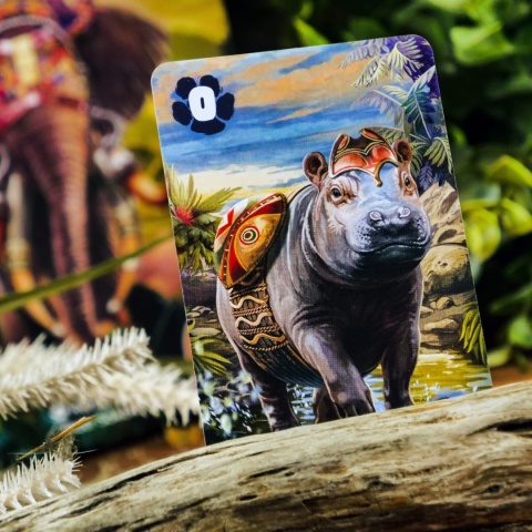 Ryki Afryki: emocjonująca gra karciana